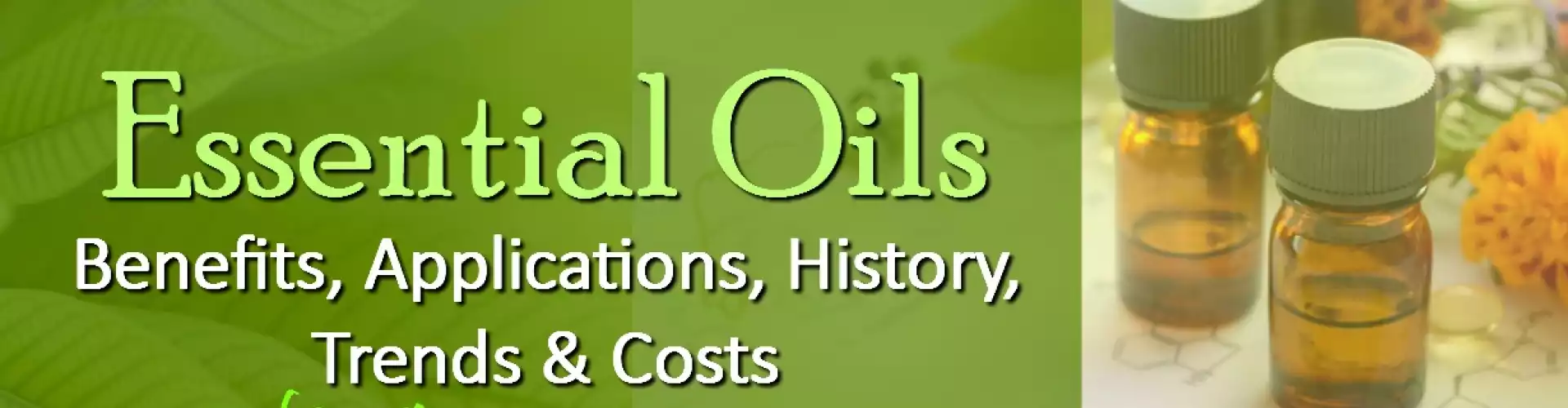 Introduction to Using Essential Oils - Online Class by Felicia Reed