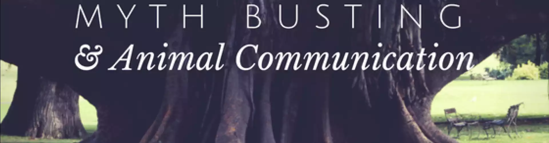 Myth Busting and Animal Communication - Online Class by Janet Roper