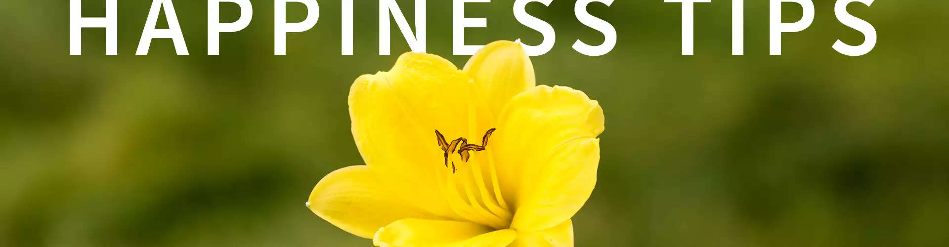 5 STEPS TO GREATER HAPPINESS in Life + Business