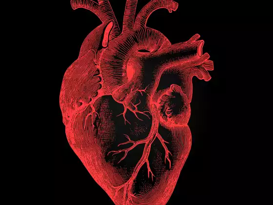 #53- Advanced Healing Heart: Part One