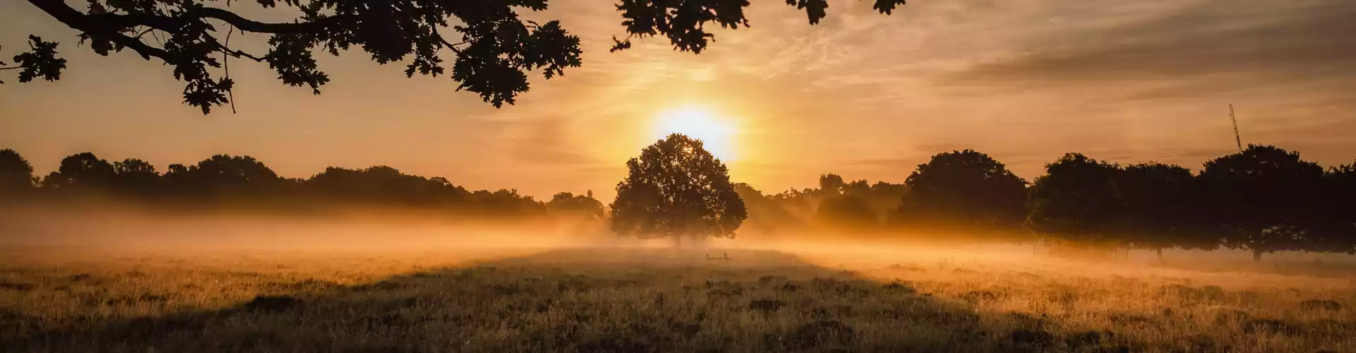 Summer Solstice 2021 - Review, Release, Renew Ceremony - Online Class by Raven  Many Voices