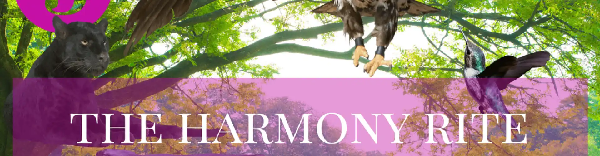 The Harmony Rite Munay-Ki Rite 3 - Online Class by Cassaundra Paolini