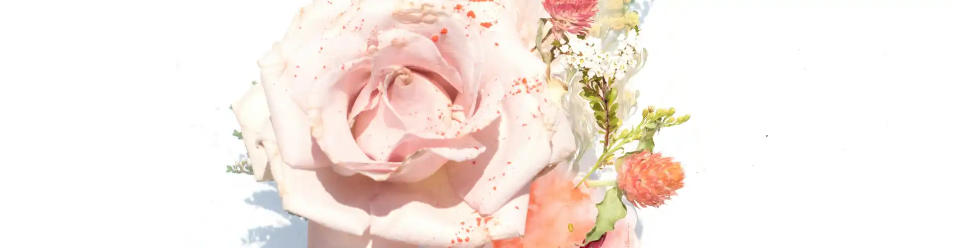 Lezione di follow-up di Reiki livello 1