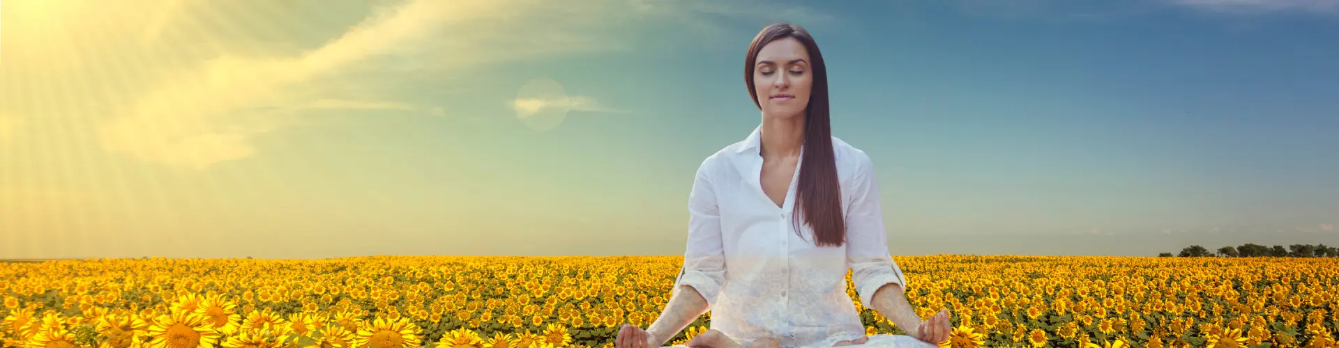 Bundle: Simposium Solstis Musim Panas - Online Course by Learn It Live